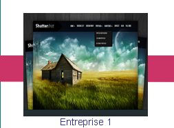 Entrerpise 1
