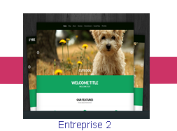 Entreprise 2