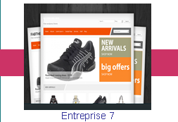 Entreprise 7